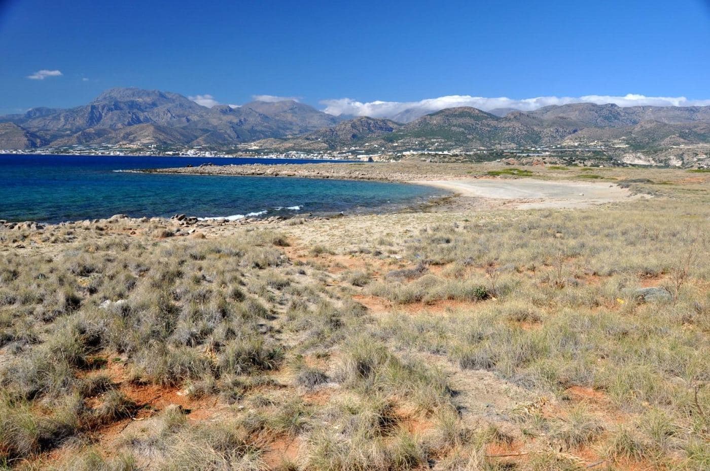 Psalidia beach