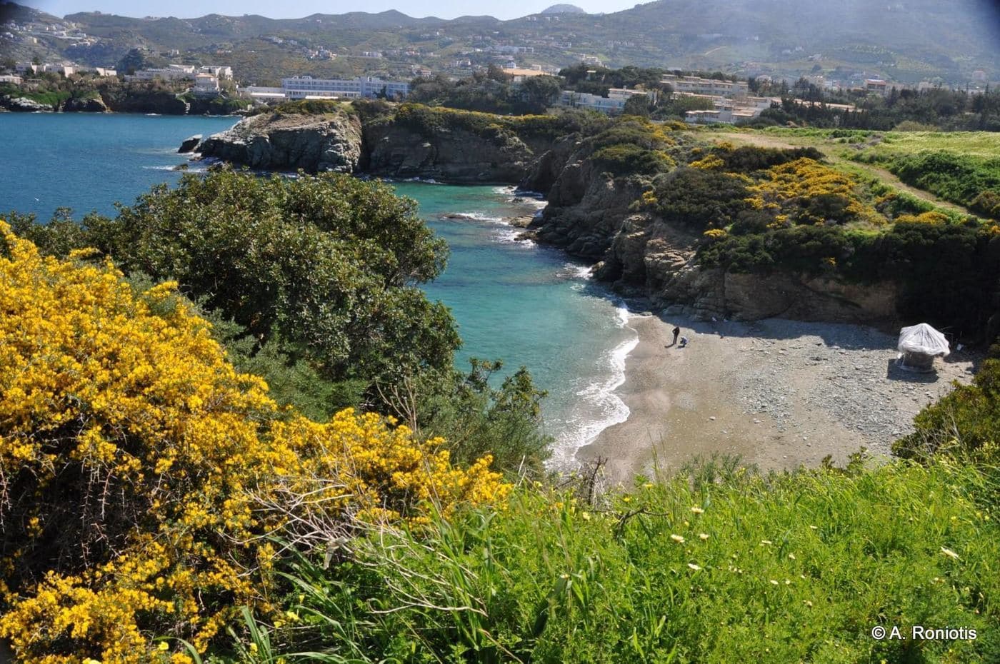 Psaromoura beach 2