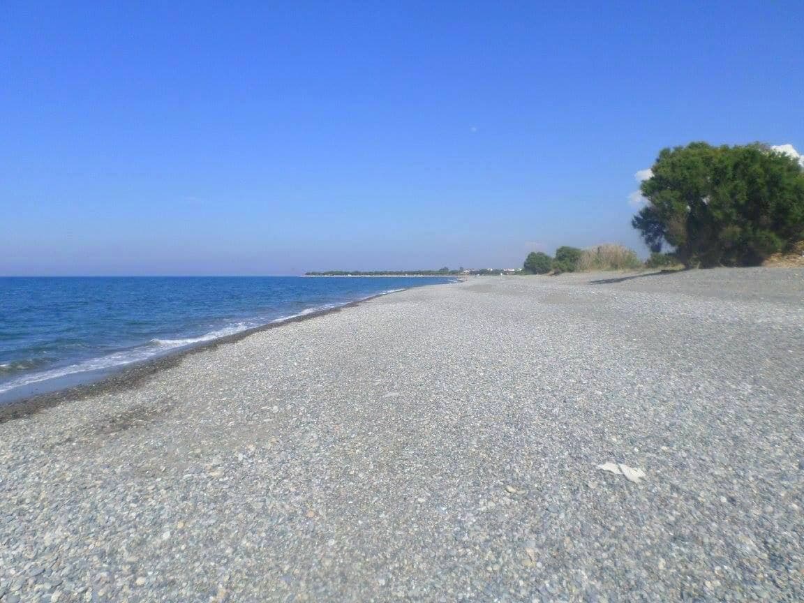 Rapaniana beach