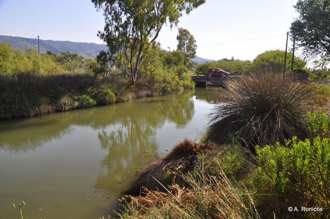 River Moronis 3