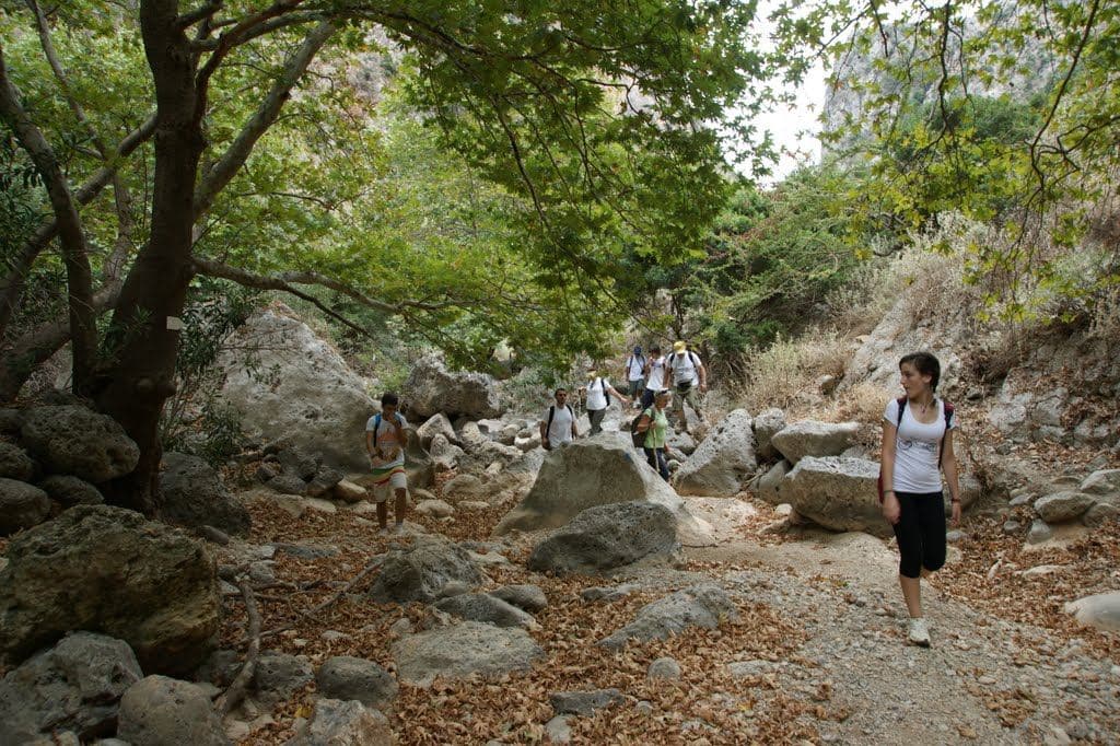 Roka Gorge 3