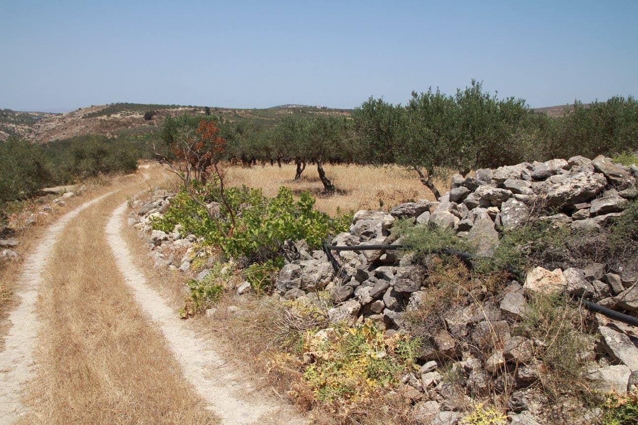 Church of Saint Phocas Church at Episkopi 2