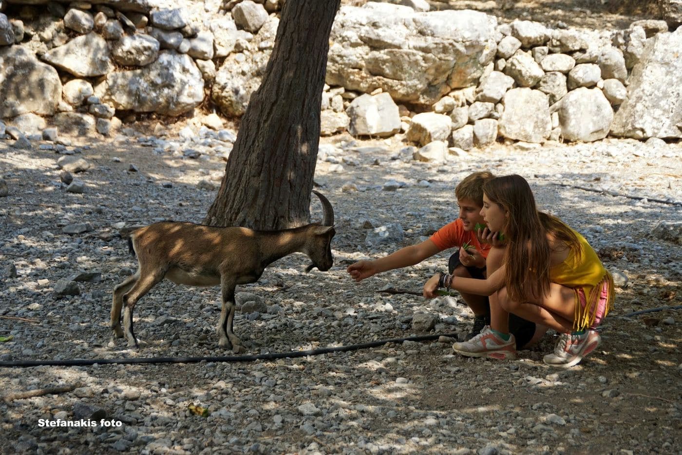 Samaria Gorge