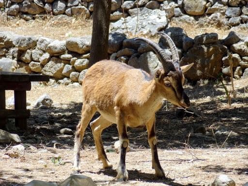 Samaria Gorge 2