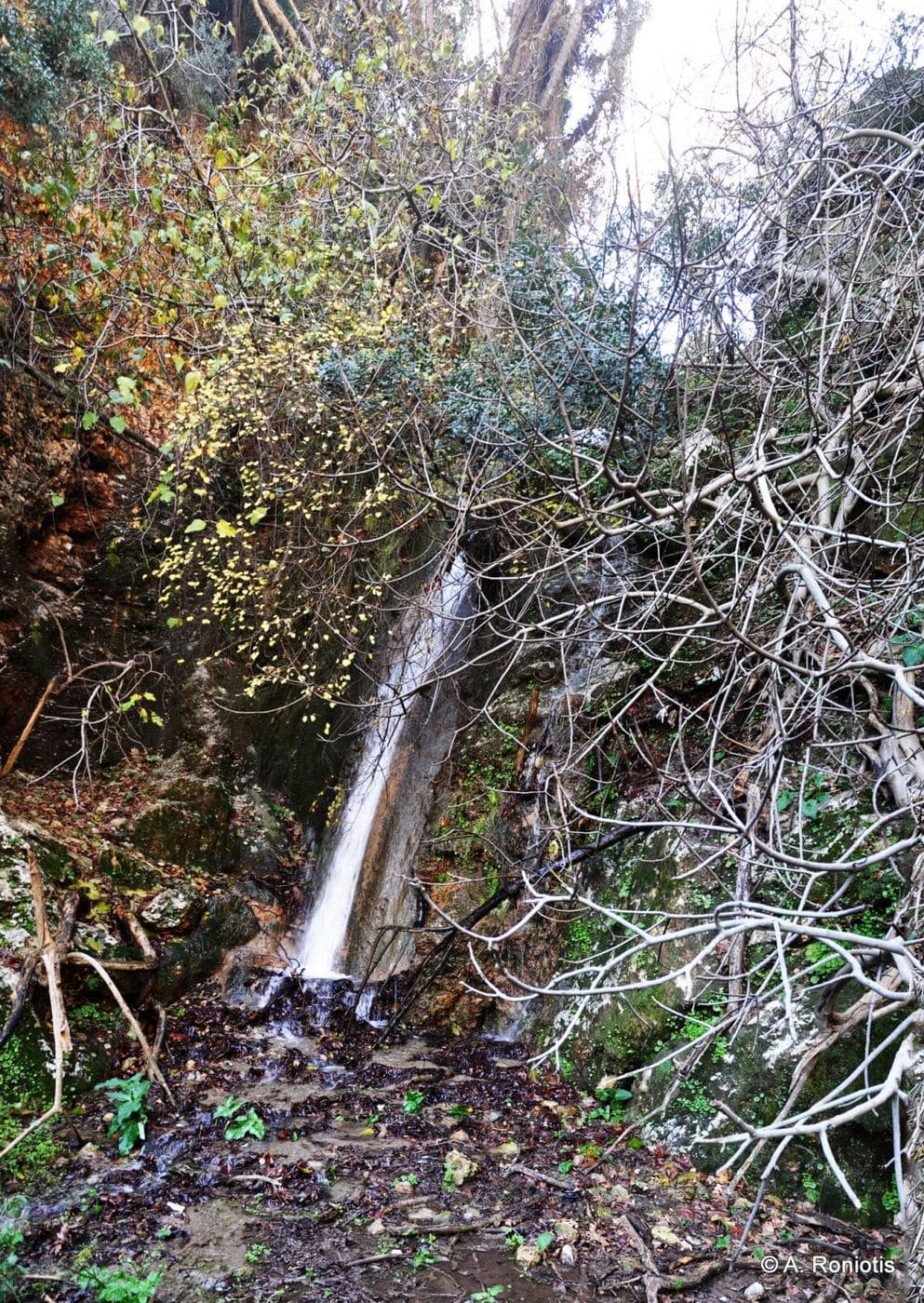 Spiliotissa Gorge, Rogdia 2