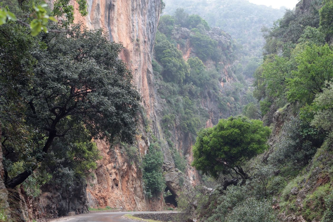 Therisso Gorge 2