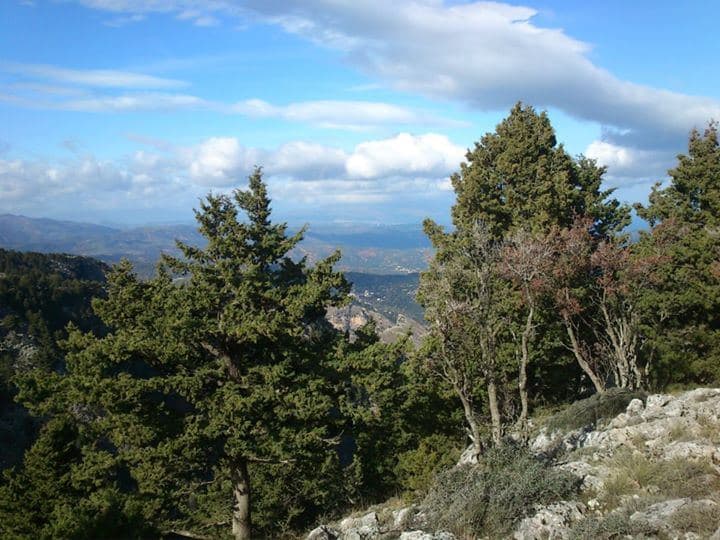 Tromarissa Gorge