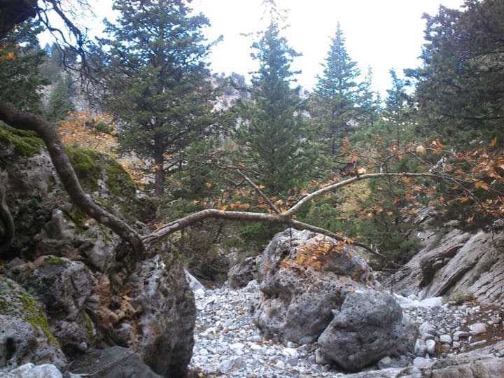 Tromarissa Gorge 3