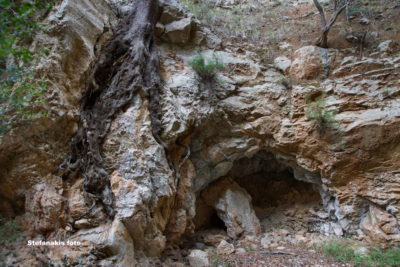 Tsigounis Gorge