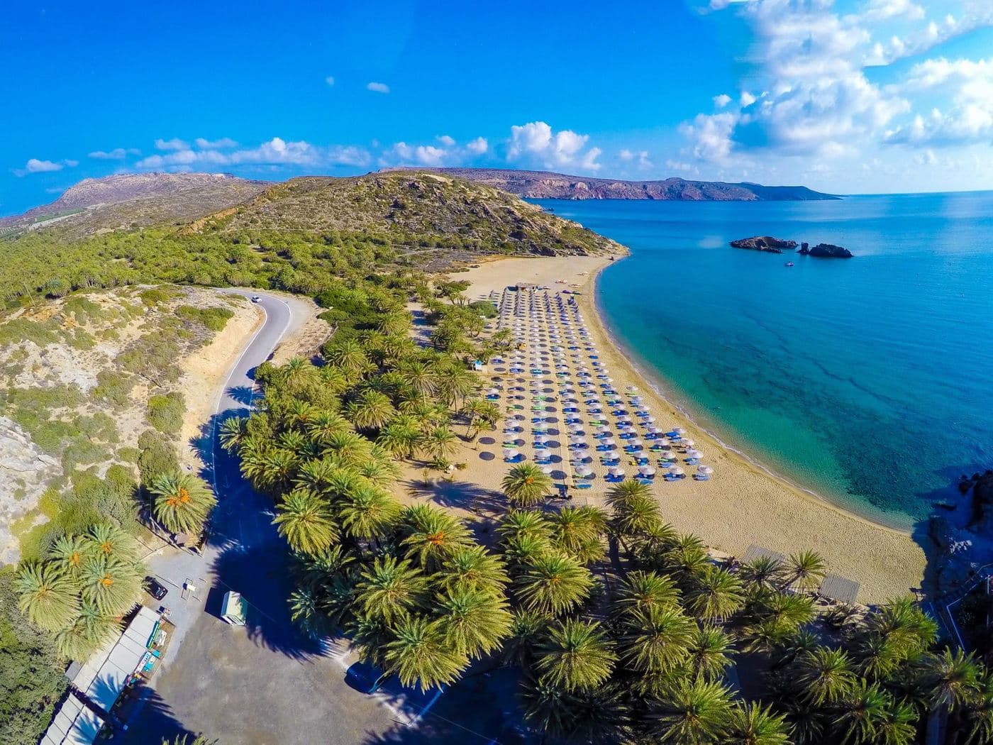 Vai palmgrove 3
