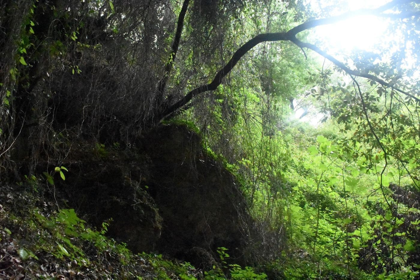 Vavouledo Gorge 3