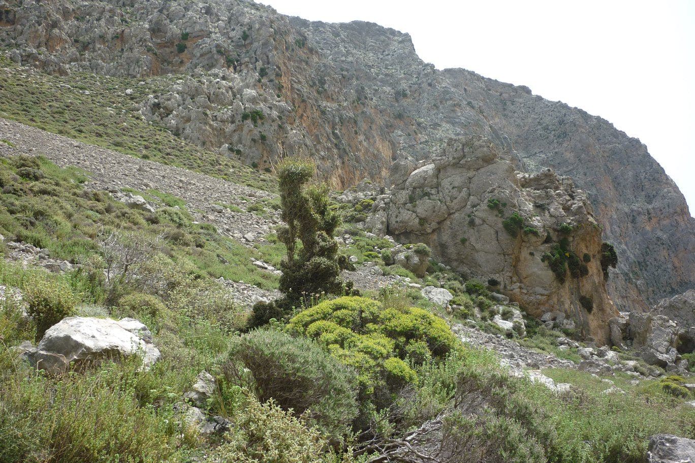 Xerokambos Gorge (Lamnoni) 3